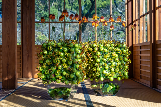 From 2022 - The Flower Box Exhibition in Dazaifu